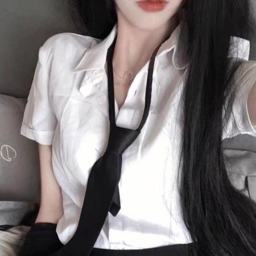 历史不下课